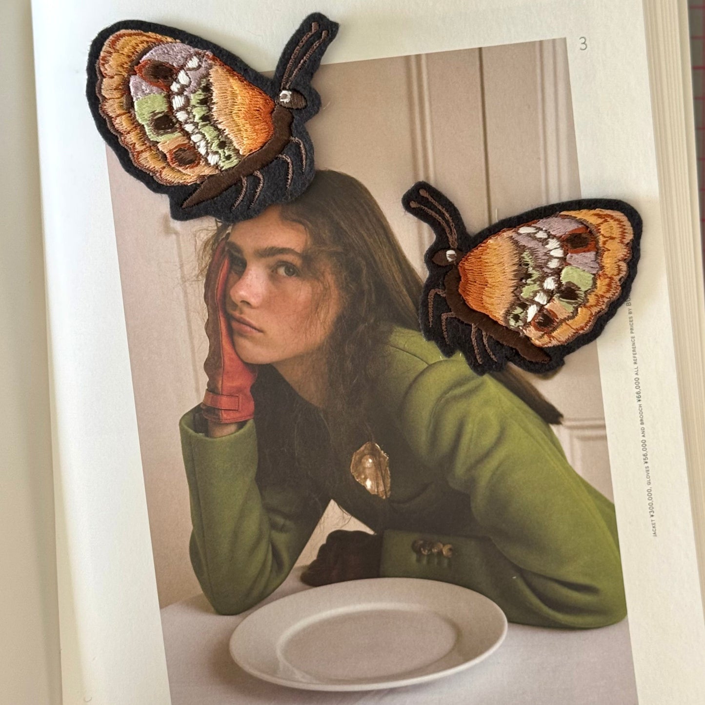 butterfly patch on magazine picture