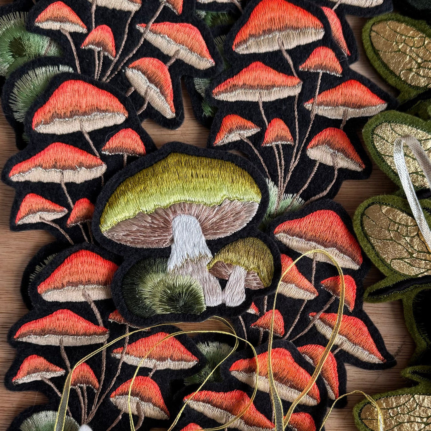 Orange mushroom group picture