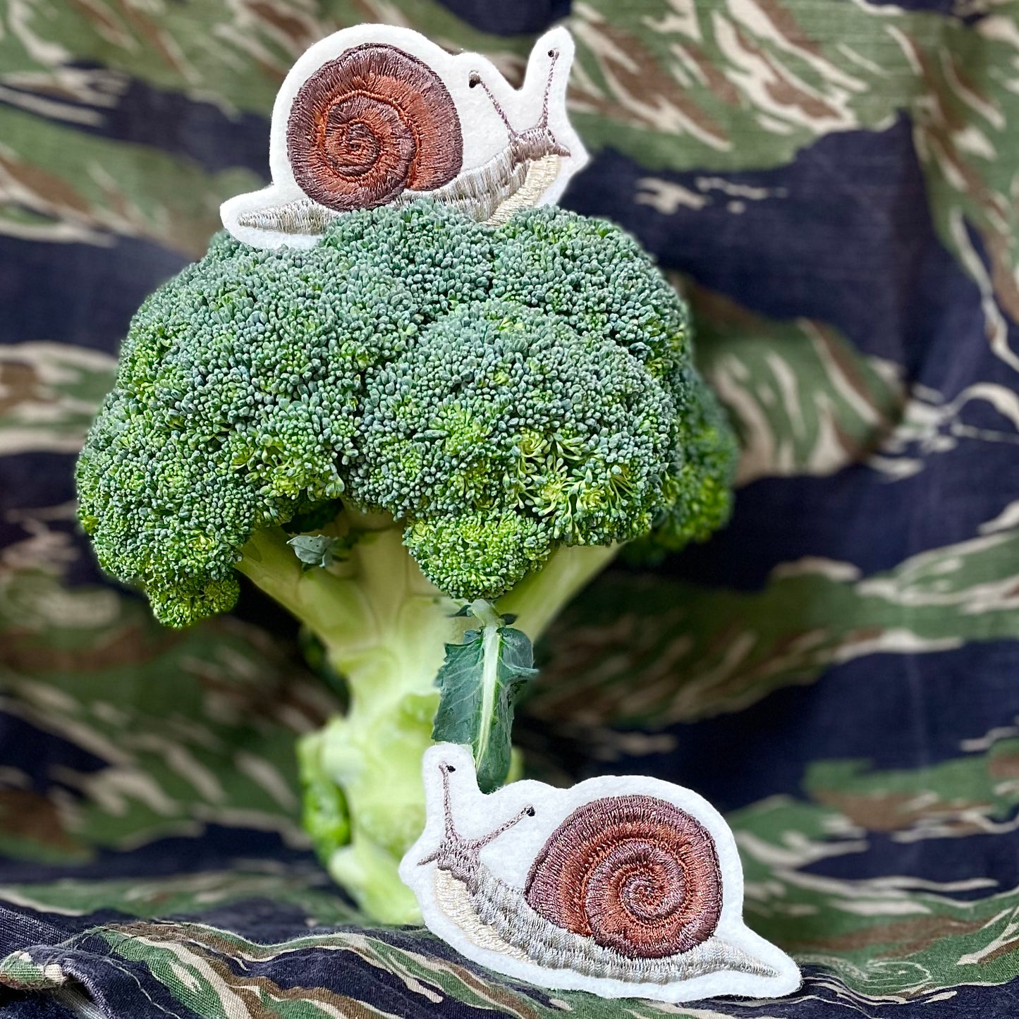 Left and right snail patch on broccoli tree 