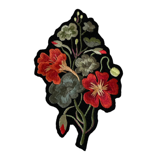 Nasturtium on white background