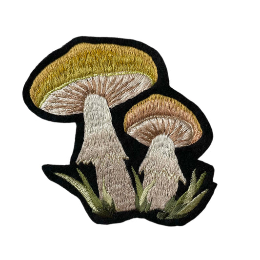 chestnut mushroom on white background