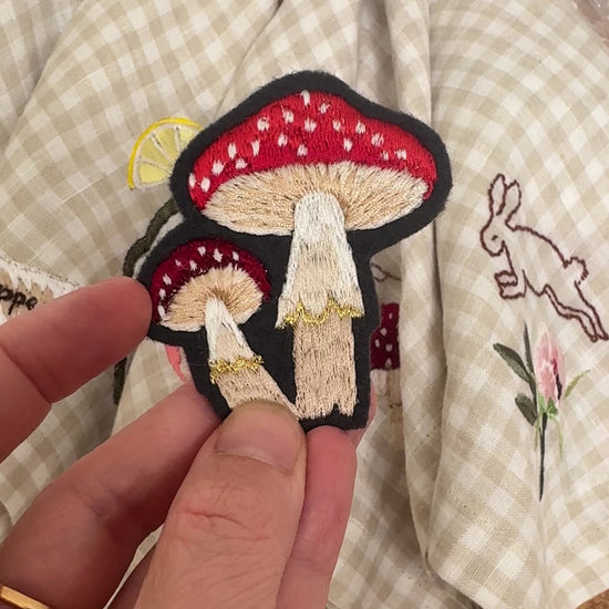 mini mushroom video