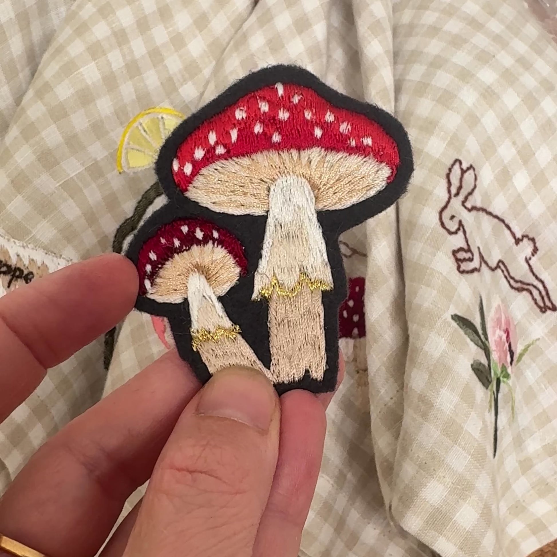 mini mushroom video