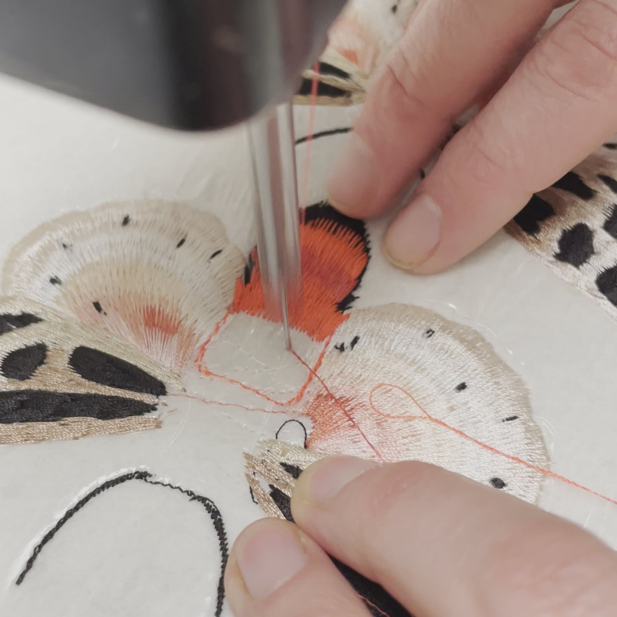 Close-up video showing Ellie Mac's fingertips on either side of the needle on her vintage sewing machine whilst she embroiders red thread on to the body of the Neon Tiger Moth Embroidered Patch