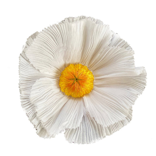 Pleated fried egg flower embroidery on white background